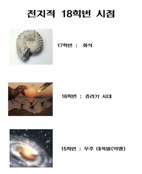 2018학년 대학에 입학한 신입생 시점에서 본 선배들을 우스갯소리로 비유했다. 30살 대학생들은 자조적으로 스스로를 화석이라고 말한다./사진=인터넷 캡처