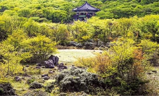 제주 1100고지 습지