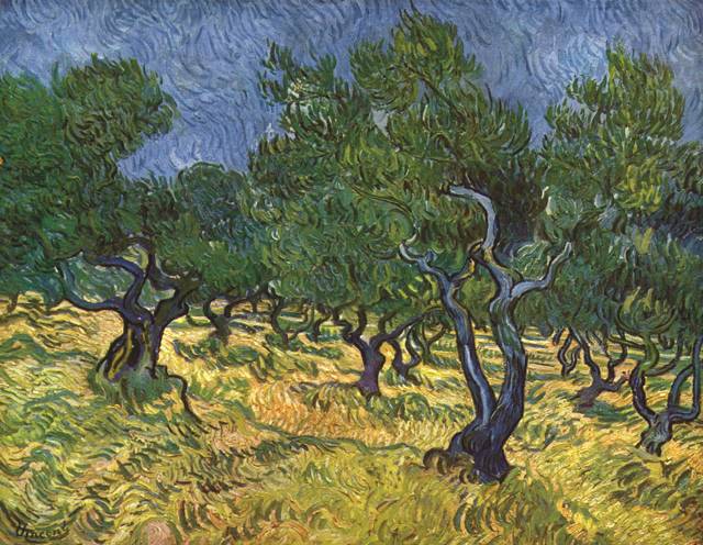 빈센트 반 고흐가 지중해의 대표 식물 올리브를 그린 ‘올리브 숲’(1889년). 글항아리 제공