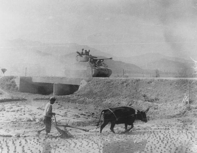 1950년 10월 국방부 정훈국 임인식 사진대장이 찍은 북진하는 유엔군 탱크 사진. 농민이 평화롭게 농사를 짓는 모습과 묘한 대조를 이룬다. 임정의 제공