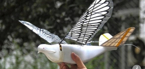중국이 개발한 '비둘기 드론' SCMP 캡처, 출처: 중국 서북공업대학