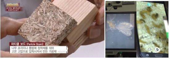 사진= KBS2 '제보자들' 방송화면 캡처