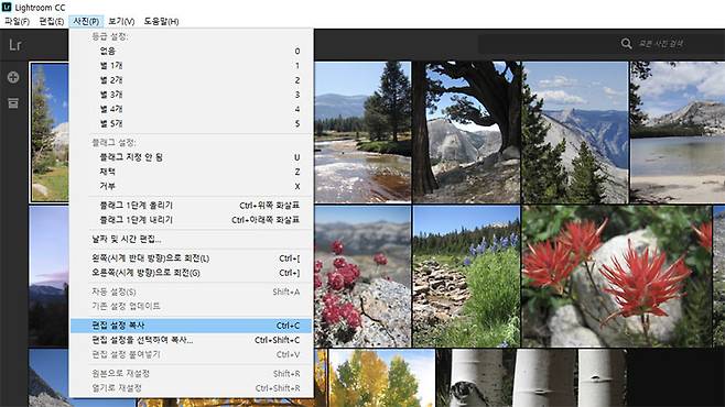 사진 조정 내용을 복사해 여러 장의 사진에 한 번에 적용할 수 있다