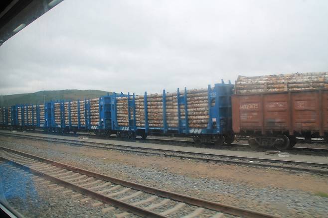 러시아 목재가 중국으로 운송되는 모습.