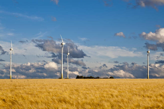 독일 마인츠 에버스하임 풍력발전단지. 사진: juwi 제공