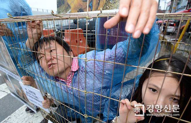 초복을 앞둔 2012년 7월15일 경기도 성남의 한 전통시장 앞에서 한국동물보호연합 회원들이 ‘뜬장’ 안에 들어가 개 식용에 반대하는 시위를 하고 있다. 김창길 기자 cut@kyunghyang.com