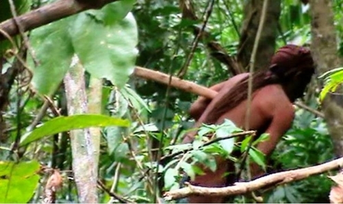 브라질 국립원주민재단이 아마존 열대우림에서 홀로 고립생활을 하는 원주민 사진을 공개했다. [국영 뉴스통신 아젠시아 브라질]