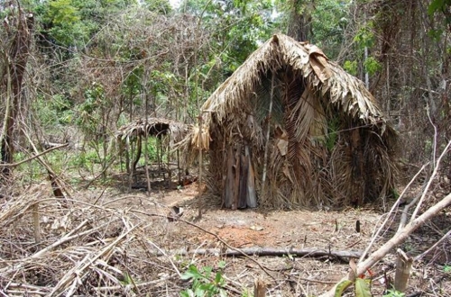 아마존 열대우림에서 홀로 고립생활을 하는 원주민의 집 [국영 뉴스통신 아젠시아 브라질]