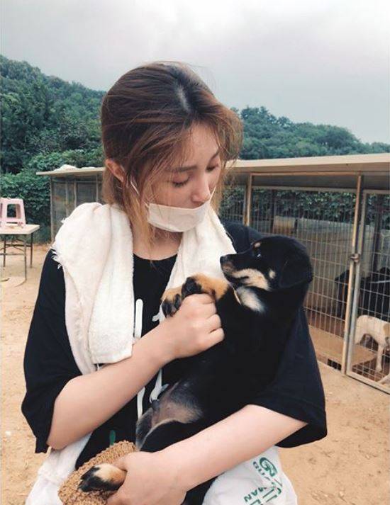 안혜경 안혜경