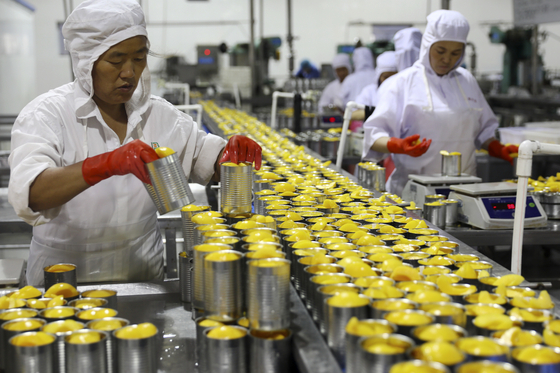 지난달 31일 중국 안후이성에 있는 한 식품 공장에서 일꾼들이 복숭아 통조림을 만들고 있다. 중국의 8월 대미 무역흑자는 사상 최고 규모인 311억 달러를 기록했다. [화이베이 AP=연합뉴스]