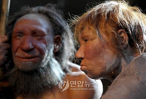 독일 네안데르탈인 박물관에 전시된 고대 인류 모형 [EPA=연합뉴스]