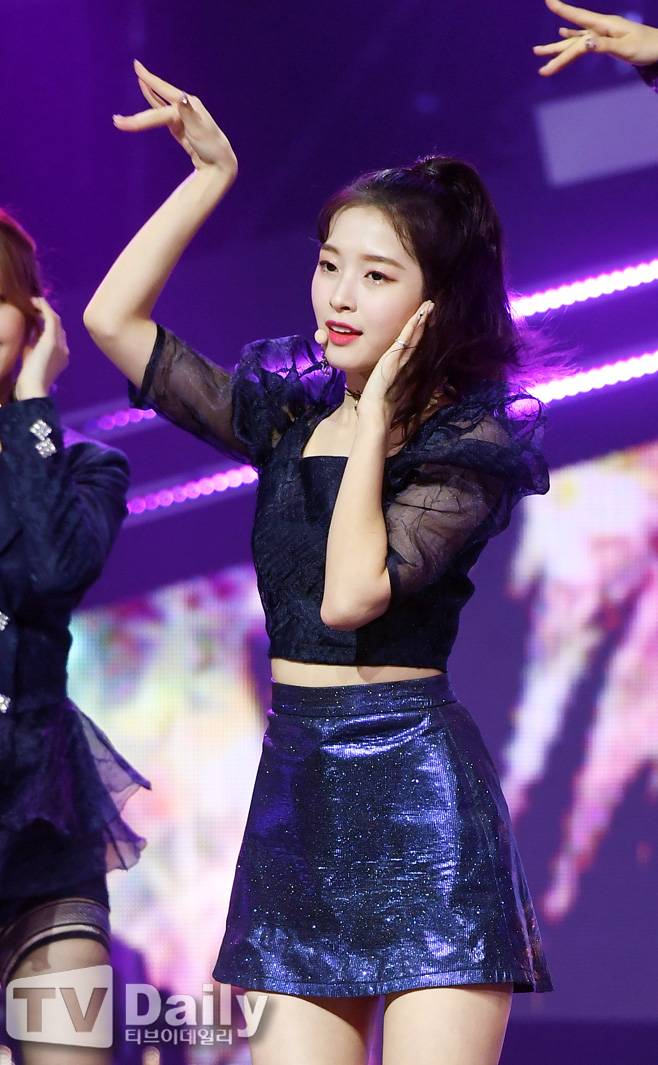 티브이데일리 포토