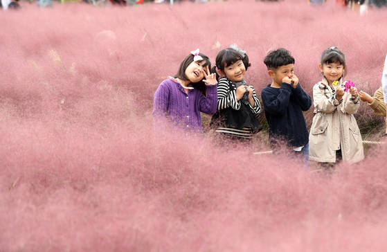 지난해 가을 경북 경주 동부사적지를 찾은 어린이들이 억새의 일종인 핑크뮬리를 배경으로 기념사진을 찍고 있다. [연합뉴스]