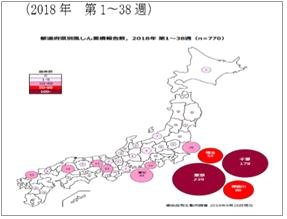 일본의 풍진 지역별 발생 현황(2018. 1주~ 38주)