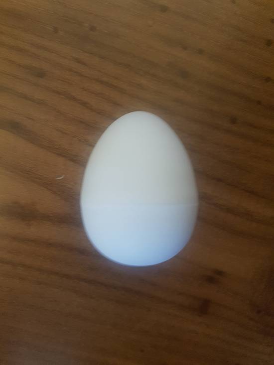 포장지를 벗긴 에그의 몸체. 더 이상의 설명은 생략한다.