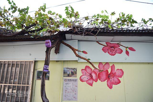 포도넝쿨에 복사꽃이 피었다.