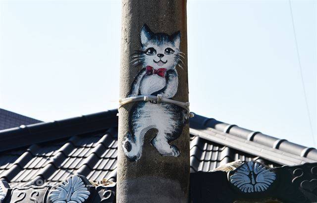 달성토성마을의 전봇대에 매달린 고양이그림.