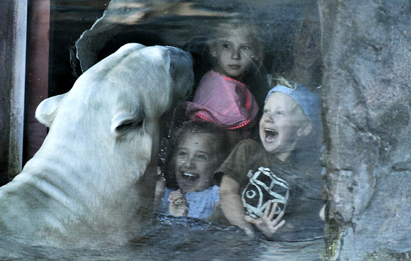 보안창으로 분리된 어린이들과 북극곰이 16일(현지시간) 독일 겔젠키르헨 동물원에서 서로를 바라보고 있다. AP 연합뉴스