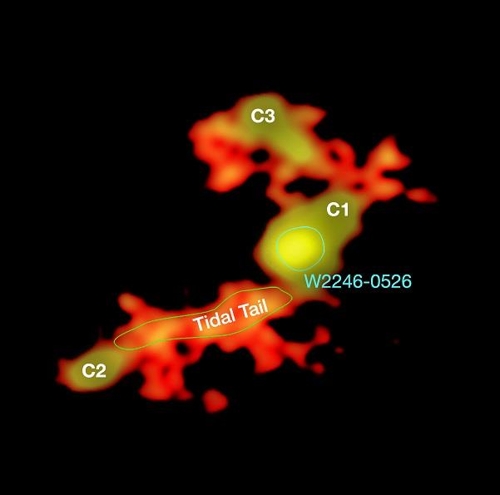 주위 은하들(C1, C2, C3)에서 나온 물질이 중심 은하인 'W2246-0526'을 향해 뻗어 있음을 보여주는 그림. [T. Diaz-Santos et al.; N. Lira; ALMA(ESO/NAOJ/NRAO)]