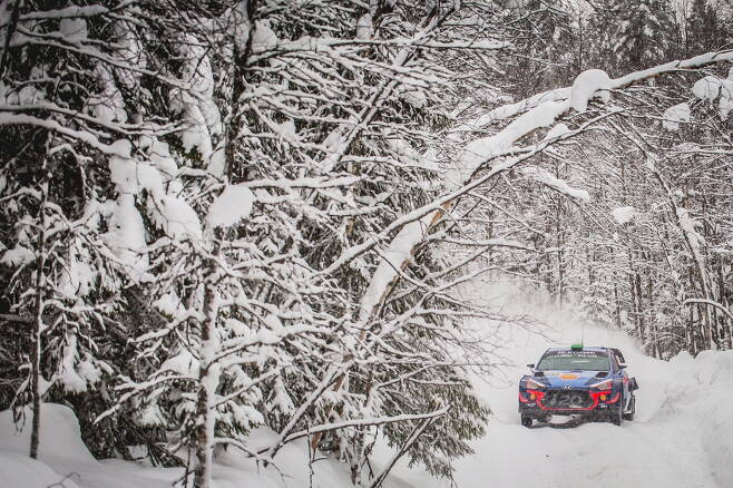 WRC 스웨덴 랠리 /사진=미쉐린 제공