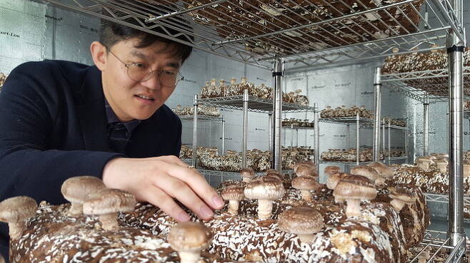 23일 인천시 미추홀구 옛 용현1·4동주민센터에 마련된 버섯재배 도시농장 교육장에서 최환 빈집은행 대표가 버섯을 살펴보고 있다. 이정하 기자