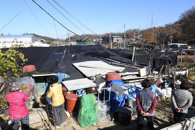 서울 서초구 남태령 전원마을 . 신상순 선임기자