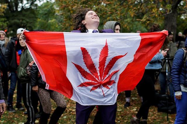지난 10월 세계 두 번째로 마리화나 사용의 합법화가 발표된 캐나다에서 2019년부터는 마리화나와 관련한 다양한 연구결과들이 쏟아져 나올 것으로 전망된다.로이터 연합뉴스