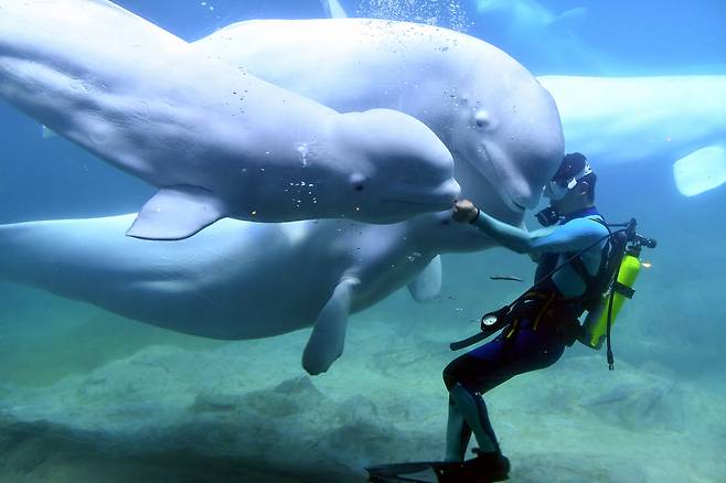 사진=신화통신 연합뉴스