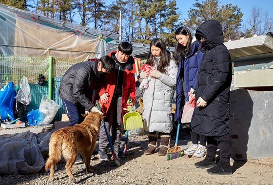 소중 학생기자단이 배우 이 씨를 도와 그의 경기 포천 자택서 반려견들이 더 편하게 놀 수 있는 환경을 만들었다.