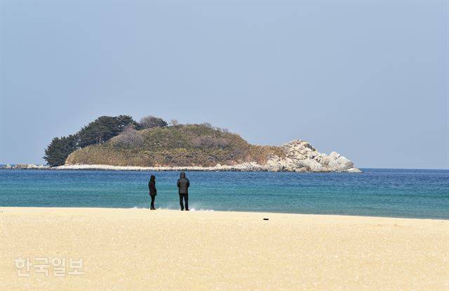 화진포해변까지 내려와야 철조망 없는 바다를 접할 수 있다. 바로 앞에 거북을 닮은 금구도가 있다.