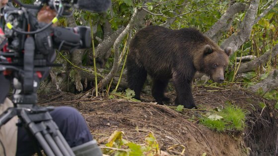 쿠릴 호수에서 연어사냥에 나선 불곰을 촬영하고 있는 제작진 [사진 MBC]