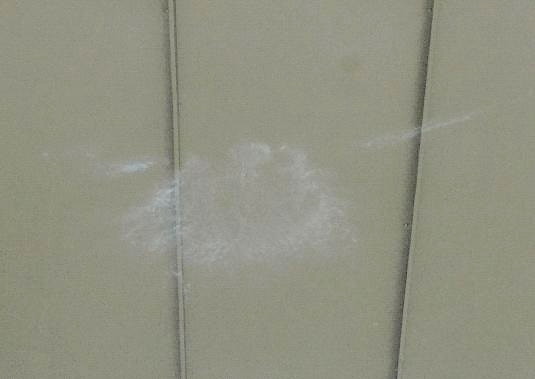 멧비둘기가 유리벽과 충돌한 흔적. 기름샘의 기름이 흩뿌려 몸과 날개의 윤곽을 벽에 남겼다. 국립생태원 (2019) ‘인공구조물에 의한 야생 조류 폐사 방지 대책 수립’제공.