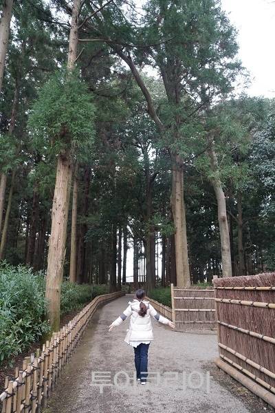 ▲ 가이라쿠엔 맹종죽숲