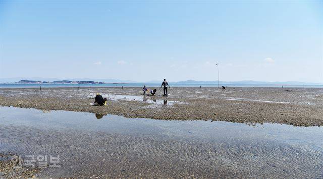 황도 앞바다 갯벌체험. 천수만 바닷물의 절반은 빠져 나가는 것처럼 느껴진다.