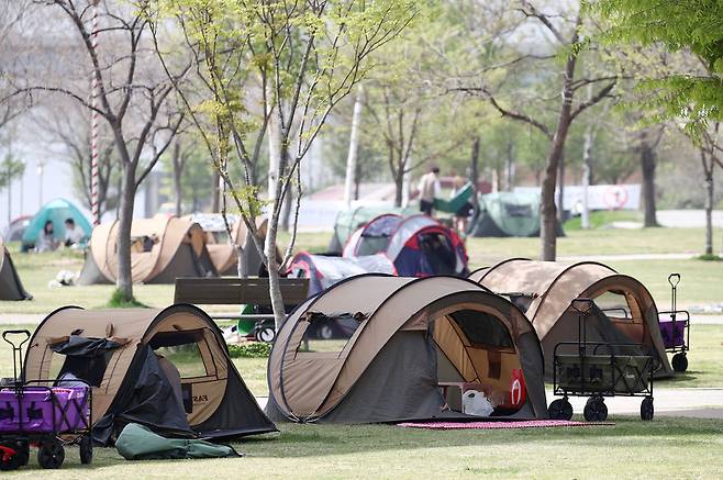 22일 오후 서울 뚝섬한강공원에서 시민들이 텐트를 치고 휴식을 즐기고 있다. 서울시는 이날부터 한강공원에서 텐트를 칠 때는 2개면 이상을 반드시 열어두어야 하며, 이를 어기면 최대 300만원의 과태료를 부과할 방침이라고 밝혔다. <연합뉴스>