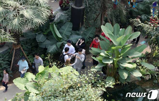 1일 오후 서울 강서구 서울식물원은 찾은 관람객들이 온실을 둘러보고 있다. /사진=뉴스1