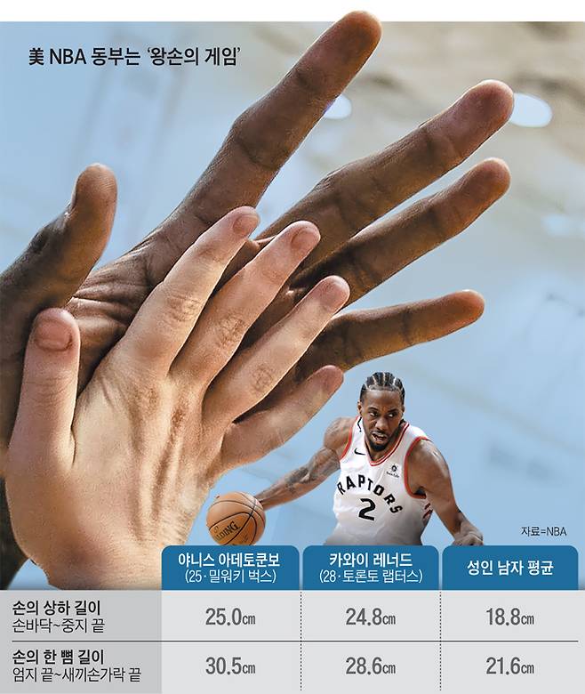 일반인보다 절반 이상 큰 레너드 손 - 지난해 9월 랩터스 공식 트위터에 올라온 레너드와 일반인 손 비교 사진. 랩터스는 “레너드 손이 보통 사람 손보다 50% 이상 크다”고 썼다. /트위터