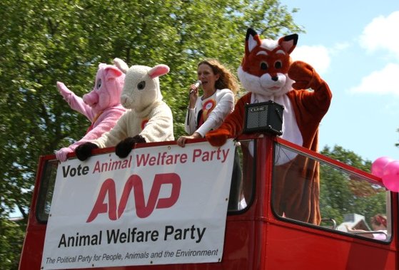 2015년 영국 동물복지당(AWP) 당수 바네사 허드슨이 버스를 타고 거리 연설을 하고 있다. [AWP 홈페이지]