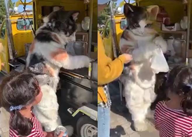 커다란 고양이 인형옷을 입고 고구마를 파는 음식점 주인 모습(유튜브 영상 캡처)