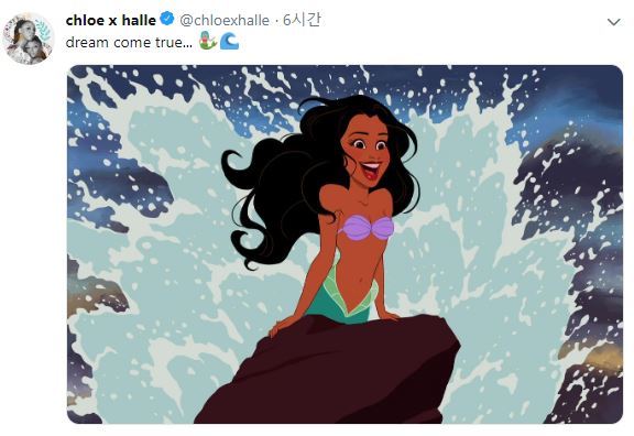 할리 베일리가 트위터에 올린 ‘검은 머리’ 에어리얼.