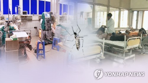 동남아 뎅기열·홍역 대유행…해외 감염병 주의보(CG) [연합뉴스TV 제공]