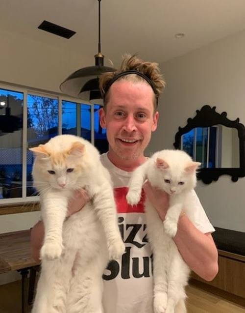 할리우드 배우 맥컬리 컬린이 근황을 전했다. 사진=맥컬리 컬린 인스타그램