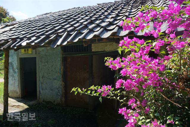 인도네시아 자바섬 중부의 암바라와에 있는 일본군 위안소의 모습. 가장 끝 방은 화장실로 변해 있고, 통로 앞엔 분홍 꽃이 피어 있다. 암바라와=고찬유 특파원