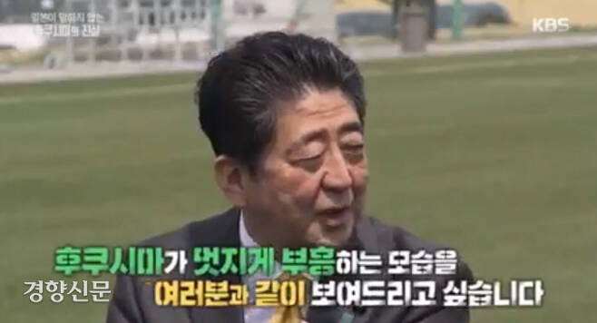 KBS <지식채집프로젝트 베짱이> 화면 갈무리