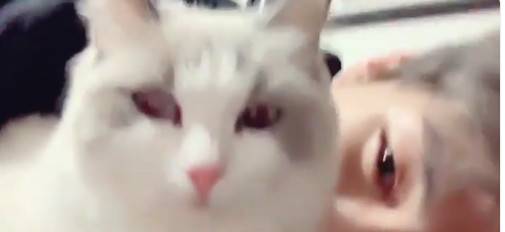 강다니엘 트위터