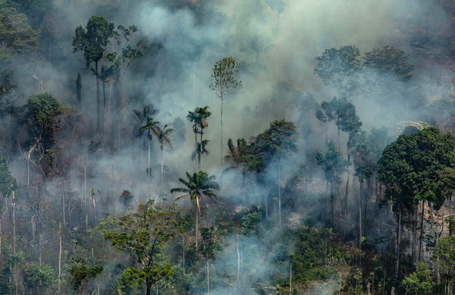 지난 23일(현지시간) 브라질 아마존 열대우림 산불 발생 지역에서 짙은 연기가 나고 있다. /AFP연합뉴스