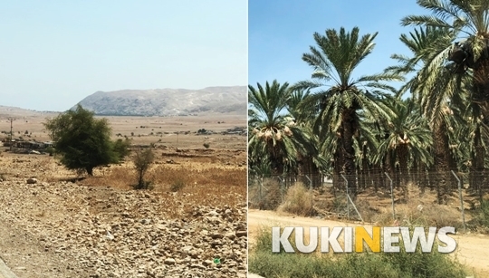 왼쪽은 팔레스타인 거주지역, 오른쪽은 이스라엘 불법 정착촌.