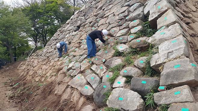 울산왜성 본환 동벽 망루지를 해체하기 전 성돌마다 번호를 붙이고 있다.(2016. 4.18)