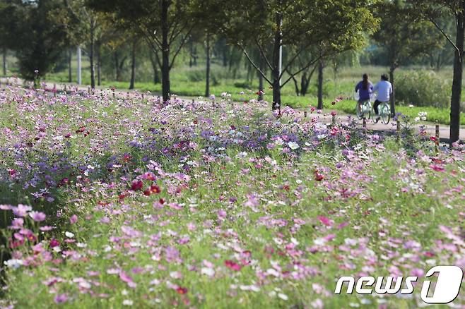 가을 정취를 느끼며 자전거를 타는 사람들의 모습 © News1 여주연 기자