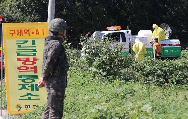 지난 18일 오후 경기도 연천군의 한 양돈농가에서 아프리카돼지열병(ASF)이 발생해 방역당국이 출입을 통제하고 있다. 연천/신소영 기자 viator@hani.co.kr